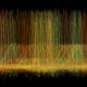 “Complex Rhythm Sustaining Complex Life”